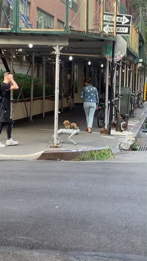 Barstool Sports On Twitter Ah Fuck Hes Coming For Our Treats