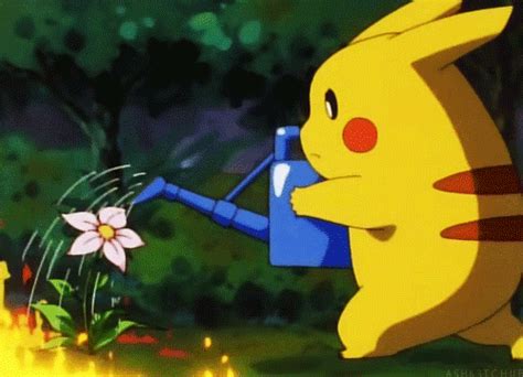 A collection of the cutest Pikachu GIFs to make your day better | Polygon