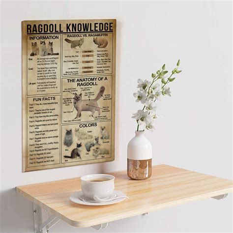 Ragdoll Knowledge Poster Ragdoll Poster Ragdoll Print Gift Etsy Australia