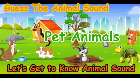 Guess The Animal Sound Lets Get To Know Animal Sound Part 2 Pet