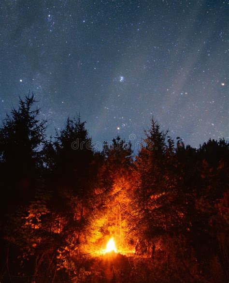 Camp Fire in the Forest with Long Exposure Night Sky. Alone in the ...