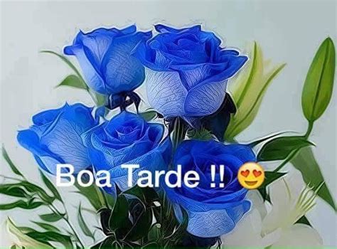 Pin by fátima borges on boa tarde Beautiful flowers Beautiful