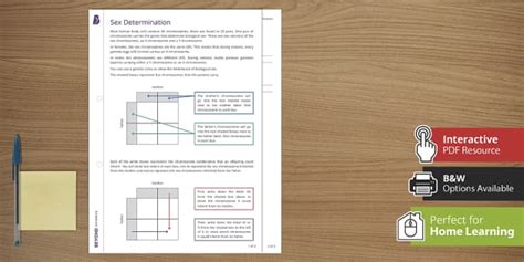 Sex Determination Worksheet GCSE Biology Beyond Twinkl