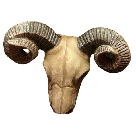 Ram Skull By Dracoawesomeness On Deviantart