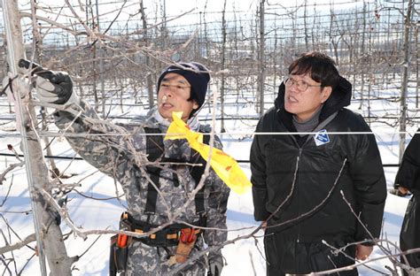 조재호 농진청장 과수화상병 예방 작업 현장점검