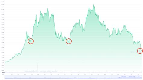 Ultimate Guide To The Most Undervalued Crypto In 2024