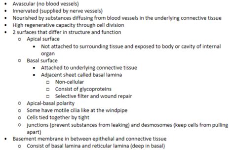 Lab 3 Tissues And Integumentary System Flashcards Quizlet