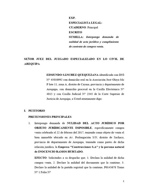 65 Modelo De Nulidad De Acto Juridico Y Cumplimiento De Contrato De