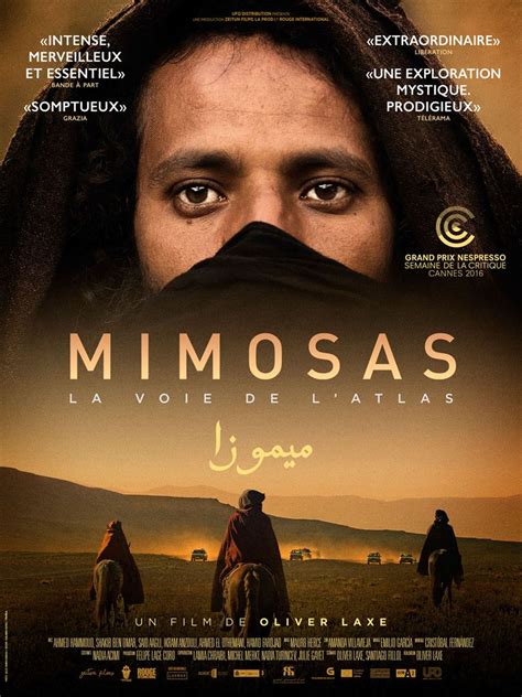 Critique Film Mimosas Abus De Ciné