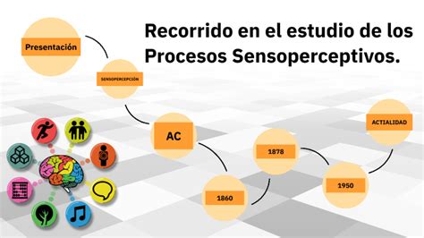 Recorrido En El Estudio De Los Procesos Sensoperceptivos By Laura