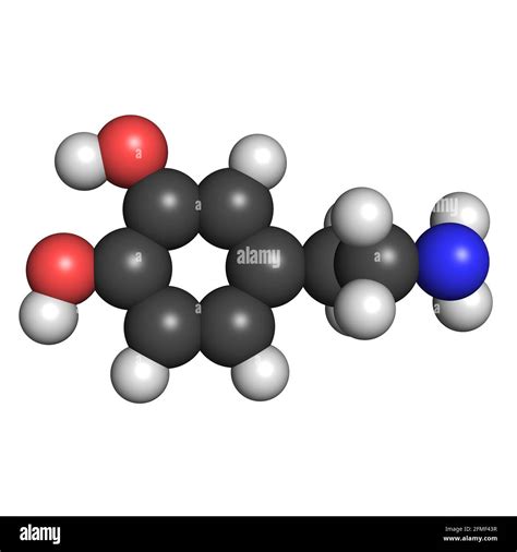La Mol Cula D Del Neurotransmisor Dopamina Produce Una Estructura