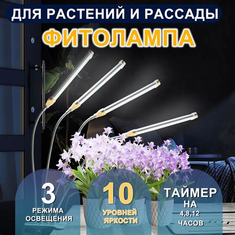 Фитолампы для растений,комнатныецветоклампа настольная купить на OZON ...