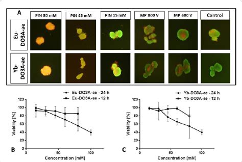 Comparison Of Islet Viability After 24 Hours Labeling By Pinocytosis