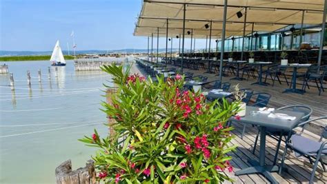 Bittere Millionenpleite Eines Bekannten Restaurants Am Neusiedler See