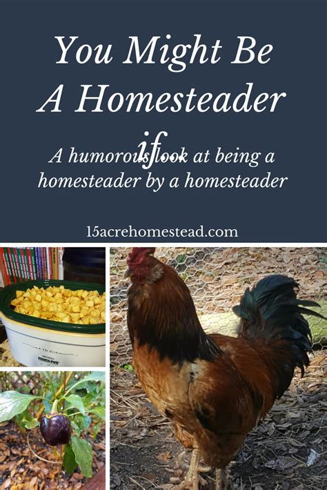 You Might Be A Homesteader If Acre Homestead Homesteading Skills