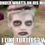 I like turtles Meme Generator - Imgflip