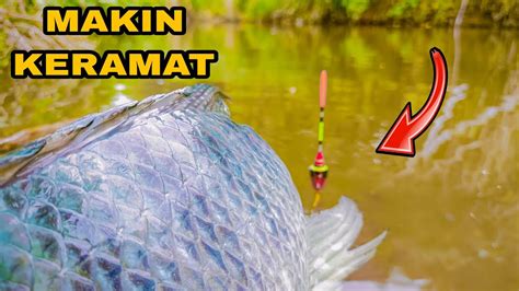 Tak Dijamah Pemancing Pintu Air Keramat Masih Dihuni Banyak Ikan