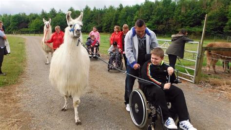 Llama Trekking Gallery | Catanger Llamas