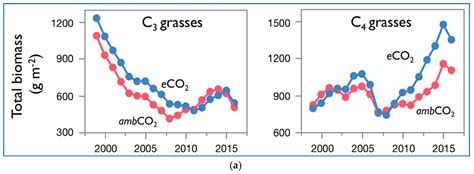 Plants Free Full Text Atmospheric CO2 Concentration And Other