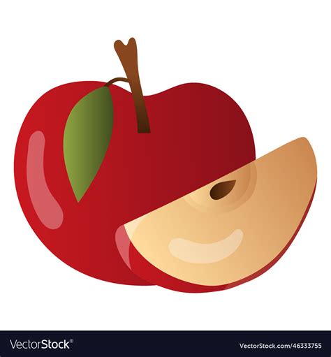 Apple And Slice Royalty Free Vector Image Vectorstock