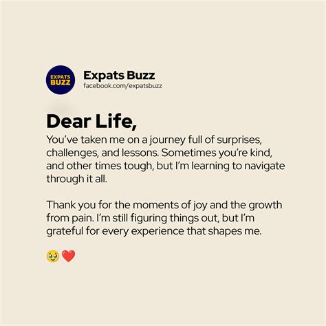 Expats - Life is filled with unexpected turns, challenges, and valuable