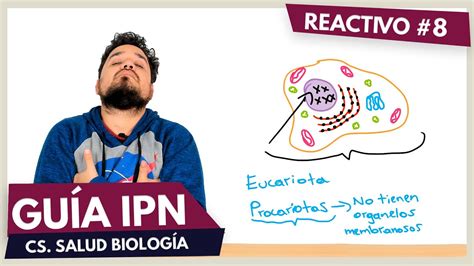 Guía Ipn Reactivo 8 Resuelto Biología Ciencias Médico Biológicas