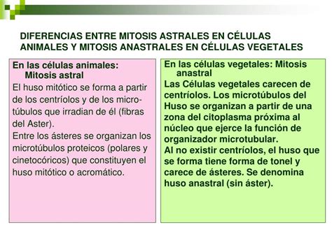 PPT Reproducción Celular Continuidad de la vida PowerPoint