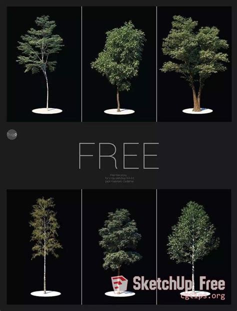 896 Tree Sketchup Model Free Download | Sketchup model, Indoor tree ...