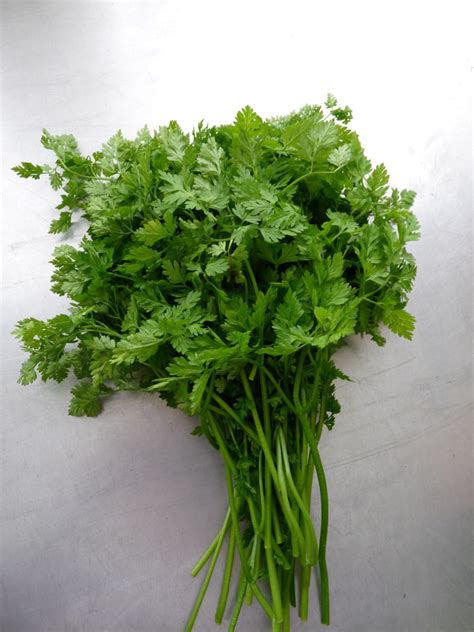 German Chervil Soup - Kerbelsuppe • MyBestGermanRecipes.com