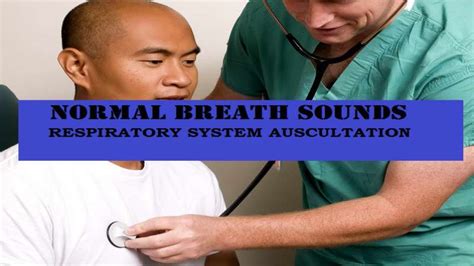 Mbbs Doctors Normal Breath Sounds On Respiratory Auscultation