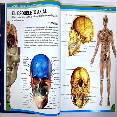 ATLAS DEL CUERPO HUMANO ANATOMIA FISIOLOGIA PATOLOGIA 51 OFF