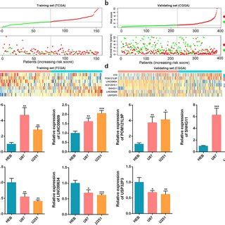 Identification Of Dysregulated Emt Related Genes In Gbm A Volcano