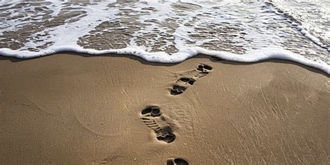 Sand Beach Footprints Background, Background, Footprint, Beach ...