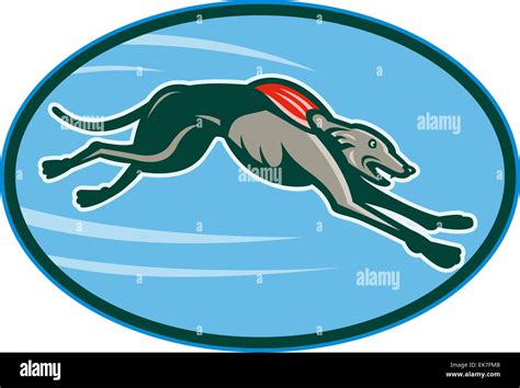 Greyhound Racing And Jumping Set Inside Oval Stock Photo Alamy