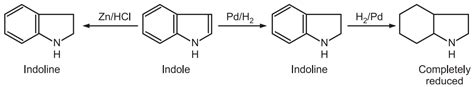 Synthesis And Reactions Of Indole Solution Parmacy