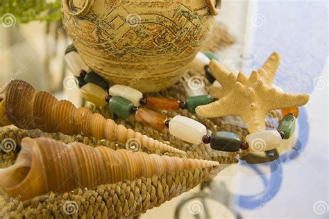 Various Types Of Sea Shells And Ancient Vessel Stock Image Image Of