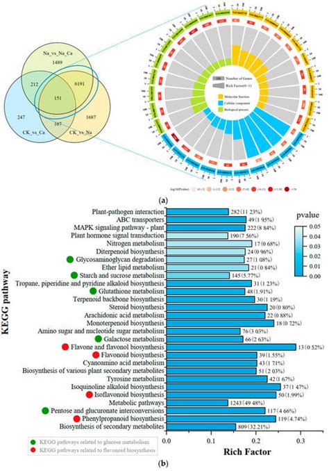 Antioxidants Special Issue Non Enzymatic Antioxidant Molecules And