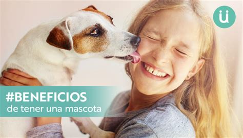 ¿cuáles Son Los Beneficios De Tener Una Mascota Ünik