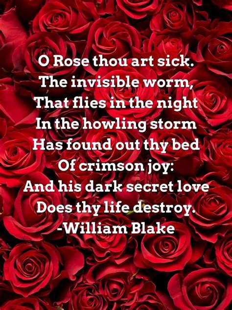 23 Red Poem Inspiration With Color And Roses Aestheticpoems