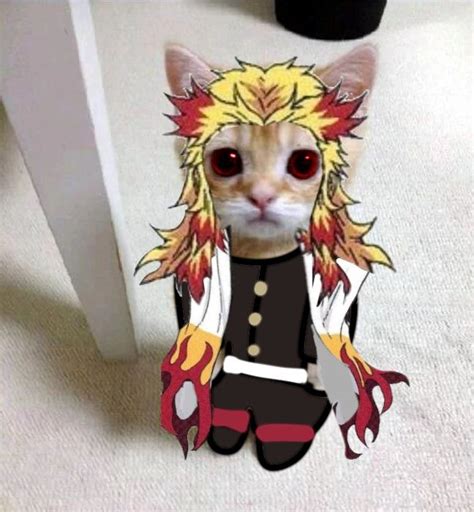 Rengoku Rengoku Kyoujurou Manga Colored Cat Cosplay Anime Cat