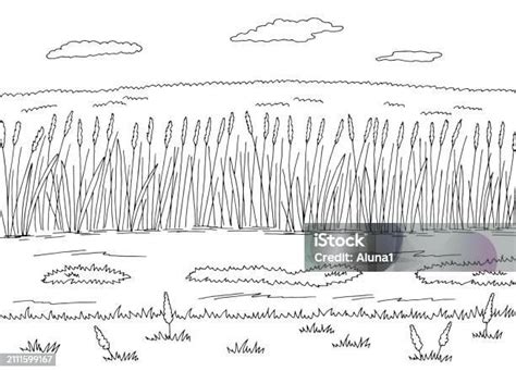 Field Road Graphic Black White Rural Landscape Sketch Illustration Vector Vecteurs Libres De