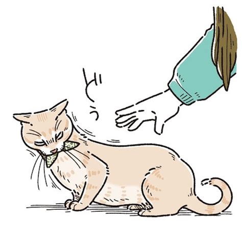 ＜画像47 166＞【ネコ漫画】ツンデレ・塩対応の愛猫の麦くん。「報われない！」下僕生活でも無償の愛を捧げる麦パパとの生活が笑える！【作者