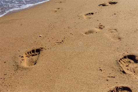 Empreintes De Pas Humaines Sur La Plage Sablonneuse Concept De