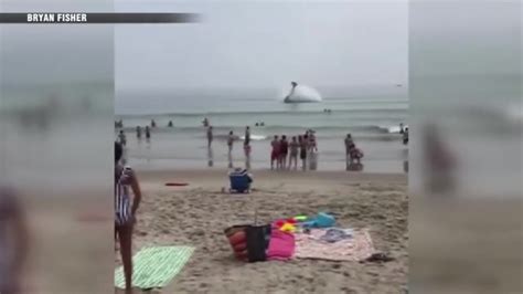 Small plane towing banner lands in ocean off crowded New Hampshire beach; pilot unhurt - WSVN ...