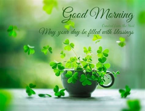 Good Morning May Your Day Be Filled With Blessings Quote With Shamrocks