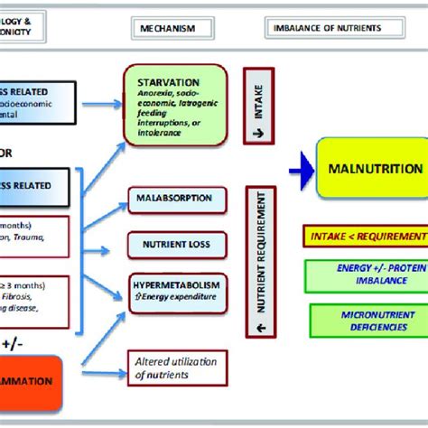 The Key Concepts In Establishing Malnutrition In Hospitalized Children