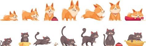 Cat growth stages composition Royalty Free Vector Image