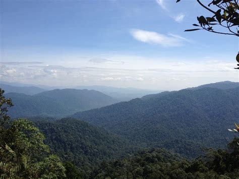 Gunung Angsi Mountain Information