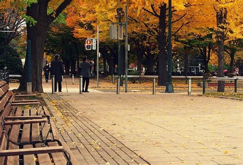 odori_park_autumn_leaves_sapporo | Kyuhoshi