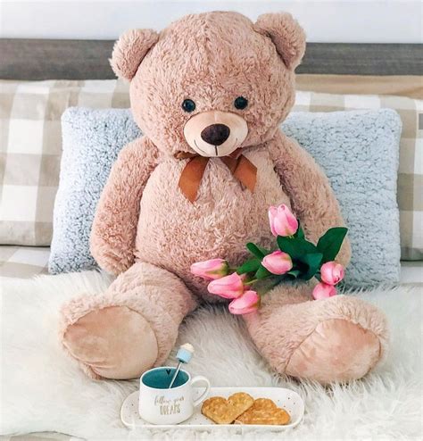 Top 999 Teddy Bear Images Hd For Whatsapp Dp Amazing Collection Teddy Bear Images Hd For